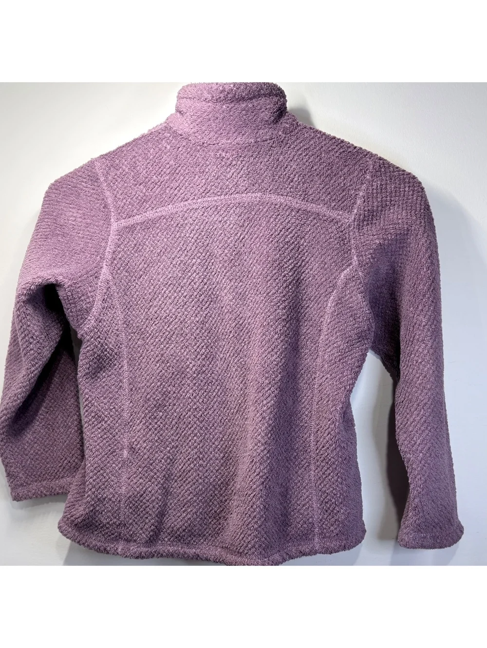 Patagonia this purple